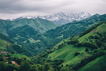 Fototapeta premium Lush green mountain valley with snow-capped peaks