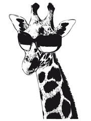 Artistic Giraffe with Glasses