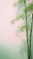 Fototapeta premium Bamboo against a pink background