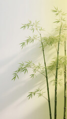 Naklejka premium Bamboo against a quietly elegant green background