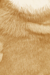 Brown hair texture natural background