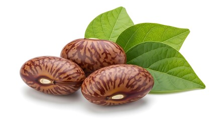 Close-up of three mottled brown seeds with green leaves on a white background