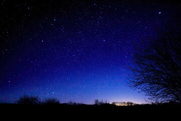 Starry night sky over dark silhouette landscape