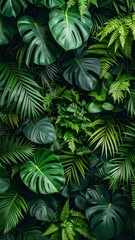 Lush Greenery: A Dense Composition of Tropical Foliage, Exploring Plant Life