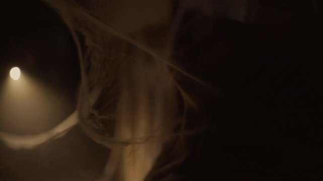 Zombie portrait of woman in cobweb indoors at night. Halloween and horror scene