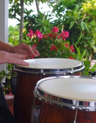 Obraz premium Close-up of hands playing conga drums outdoors. Lush greenery and flowers in background