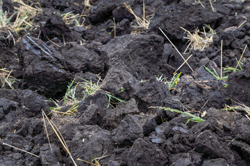 A plowed field in summer