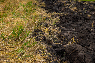 A plowed field in summer