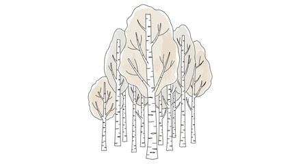 Fototapeta premium Stylized birch tree grove illustration with muted color palette on white