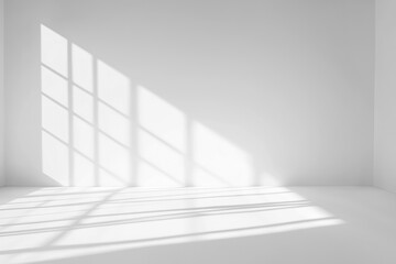 Obraz premium abstract shadow on wall background,Summer sunlight shadow overlay,abstract dappled shadow background,black and white shadow and light background,grunge wall background,empty room with white walls