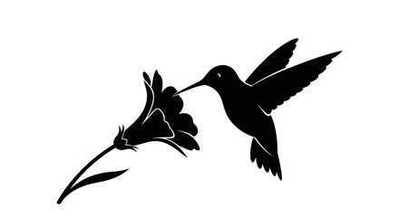 Obraz premium elegant hummingbird silhouette perfect for natureinspired designs logos and springsummer branding projects