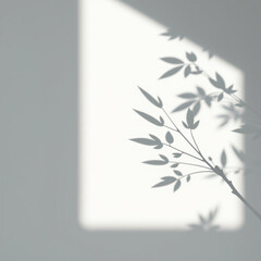 shadow overlay effect. Gray shadow of leaves isolated on white background. Plant foliage leaf shadow light effect. 
Mockup Blurred tree branch shadow. Ideal for summer spring design elements PNG