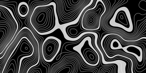  black and white abstract topographic contour lines pattern design with flowing organic shapes creates a modern and decorative artwork.