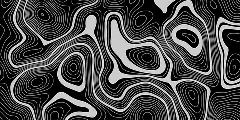  black and white abstract topographic contour lines pattern design with flowing organic shapes creates a modern and decorative artwork.