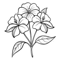 impatiens glandulifera flower- line art vector on-white