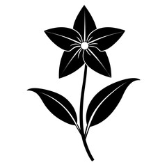 silhouette of ipheion uniflorum vector on white