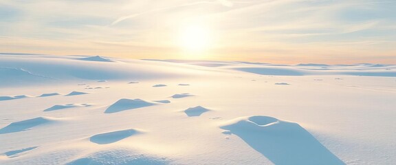 Sunlit snowdrifts, pristine white expanse, icy blue shadows,   winter wonderland,  peaceful