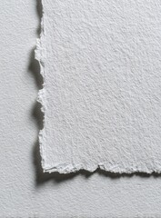 Close-up of a sheet of textured white paper with a torn edge