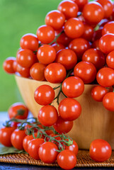 Sweet Japanese Bijin and Amela tomatoes in a basket, with a natural green bokeh background