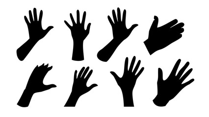 Diverse Collection of Musical Instruments orchestra