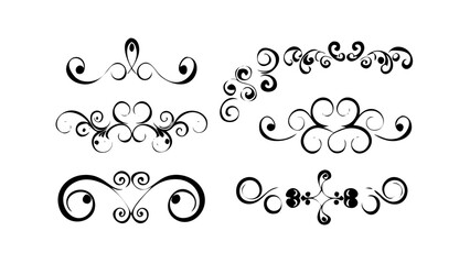 Varied bird species silhouette animal wildlife