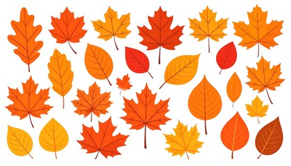 Fototapeta premium Autumn leaves collection