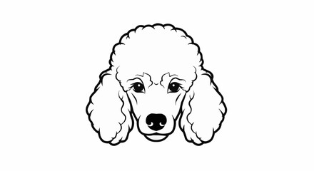 Poodle dog head