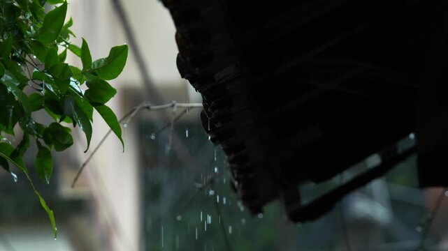 Due to the influence of the southwest monsoon, various parts of India experience heavy rainfall during the monsoon season.