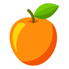 vector illustration of orange fruit