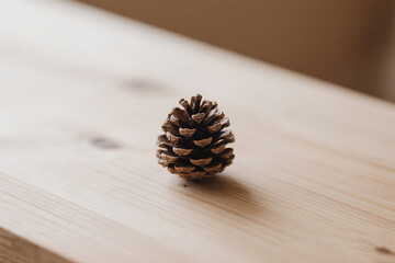 Minimal Nature Object Photography from Above