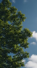 Vertical Portrait Wallpaper of Lush Green Tree Branches Against a Blue Sky with Clouds