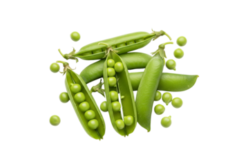 Fresh Green Peas Pods and Shelled Peas Isolated on White Background, Top View. Healthy Vegetable for Diet and Nutrition.