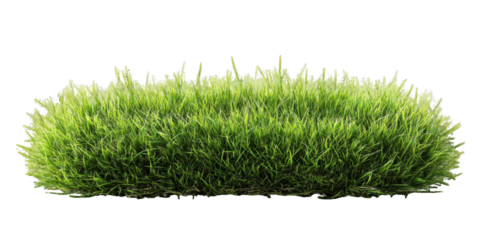 Vibrant green grass patch isolated on transparent background for design elements