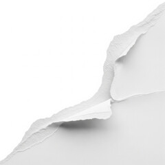 torn paper corner with empty space for headline isolated on white background for post editing and graphic resource