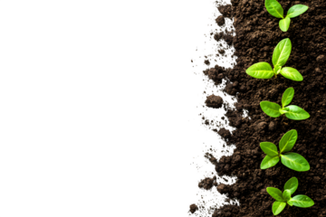 Scattered piles of soil with an empty space viewed from above