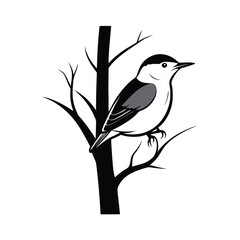 Minimalist vector illustration of a nuthatch bird gracefully climbing a tree trunk with clean lines and simple composition
