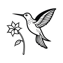 Elegant thin line illustration of a hummingbird sipping nectar from a flower