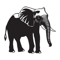 Obraz premium Black silhouette of an African elephant with tusks in side view vector illustration