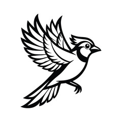 Professional thin line drawing of a blue jay bird in flight with intricate detail