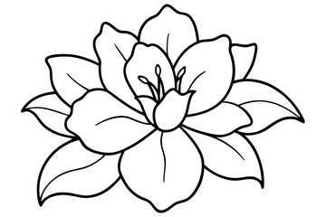 Fototapeta premium azalea flower line art vector illustration, flower outline