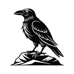 Detailed thin line art illustration of a raven perched on a textured rock formation
