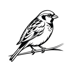 Elegant thin line artwork of a sparrow gracefully perched on a delicate twig