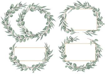 Set of four decorative eucalyptus wreaths and frames with blank space for text, isolated on transparent background