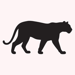 Tiger Illustration – Stylized Black and White Wildlife Predator