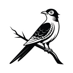 A detailed illustration of a cuckoo bird gracefully perched on a tree branch showcasing perfect balance and isolation