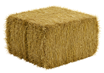Close-up of a rectangular hay bale with cut edges isolated on black background