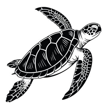 A vector illustration of a tribal turtle tattoo swimming in the sea with a unique shell pattern