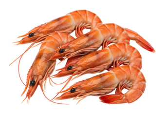 Close-up of Fresh Orange Shrimp on Black Background for Seafood Presentation