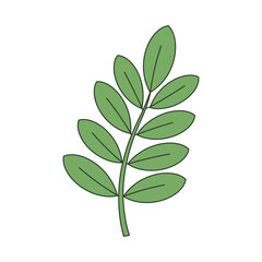 Simple Green Leaf Branch Illustration for Botanical Designs and Natural Concepts