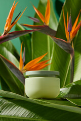 Tropical-themed shot with a small white jar nestled among green leaves and bird of paradise blooms, perfect for luxury beauty campaigns. A cosmetic jar unlabeled for
